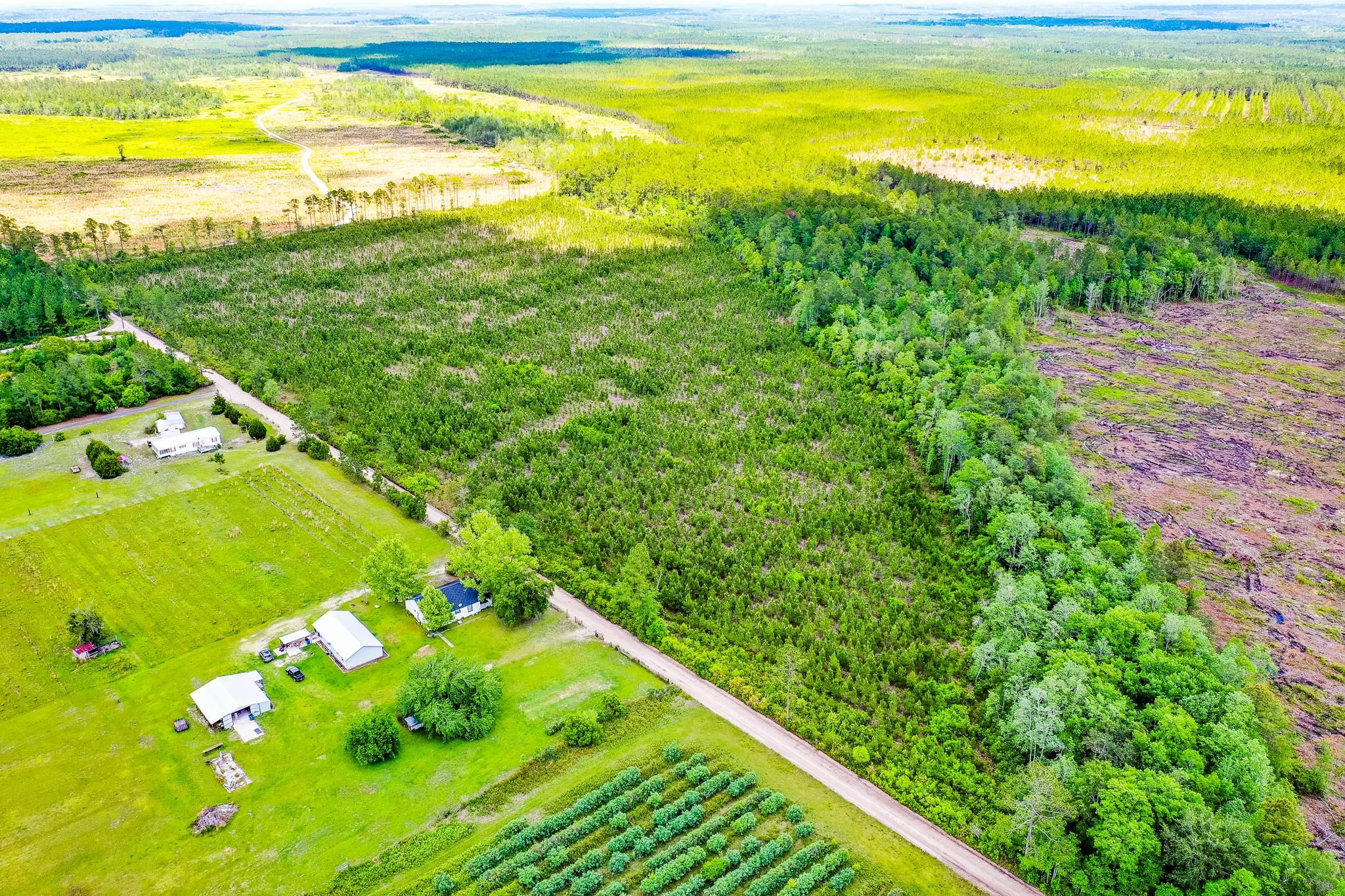 39 acres in Brantley County,