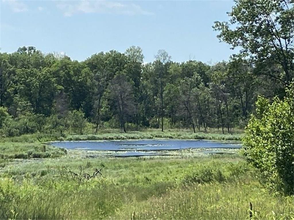 208 acres in Crow Wing County, Minnesota