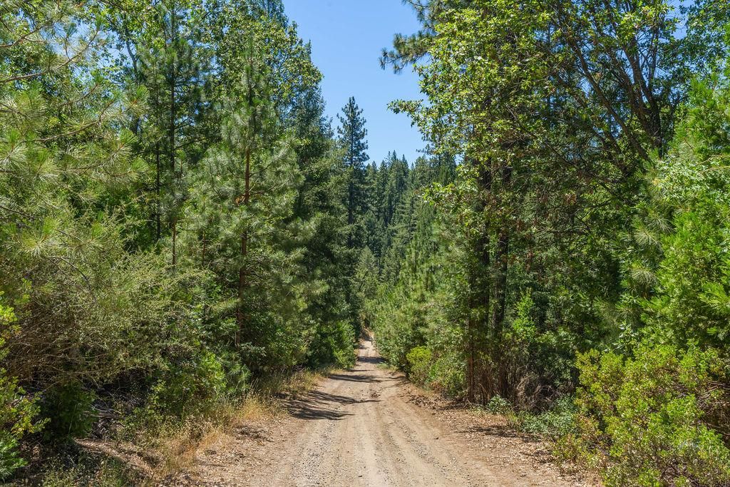 15.2 acres in Amador County, California