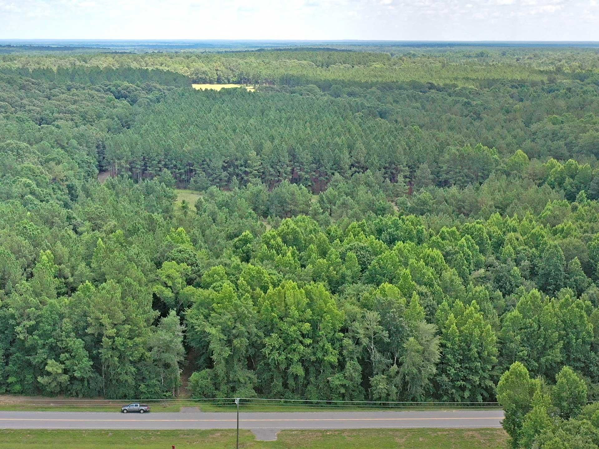 43.21 acres in Screven County,