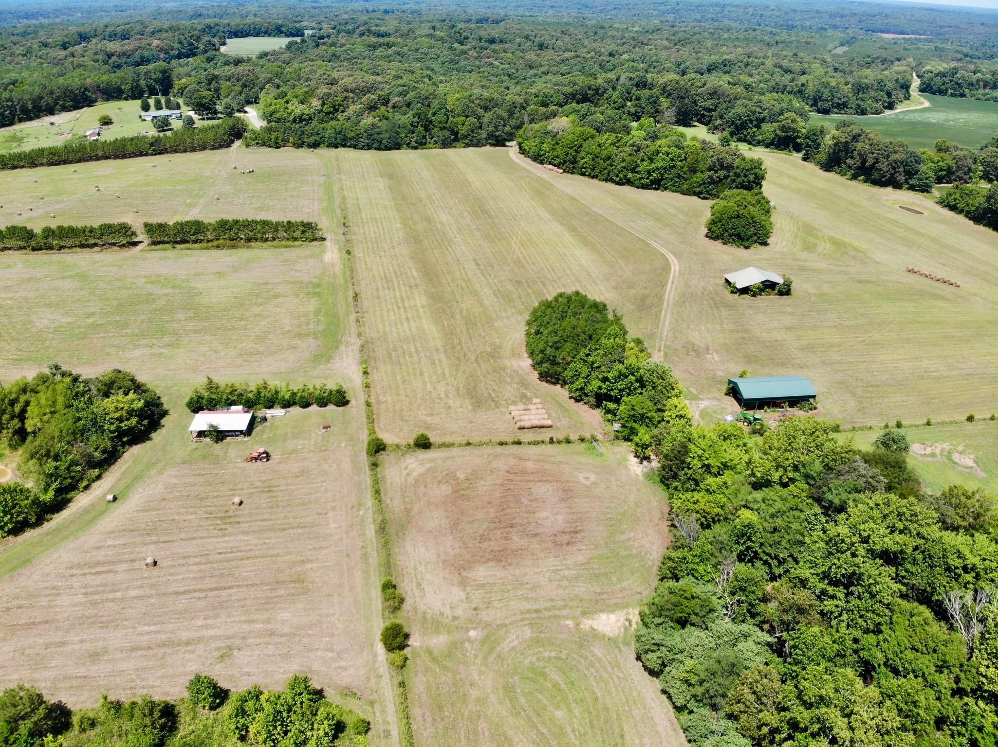 85 acres in Hardeman County, Tennessee