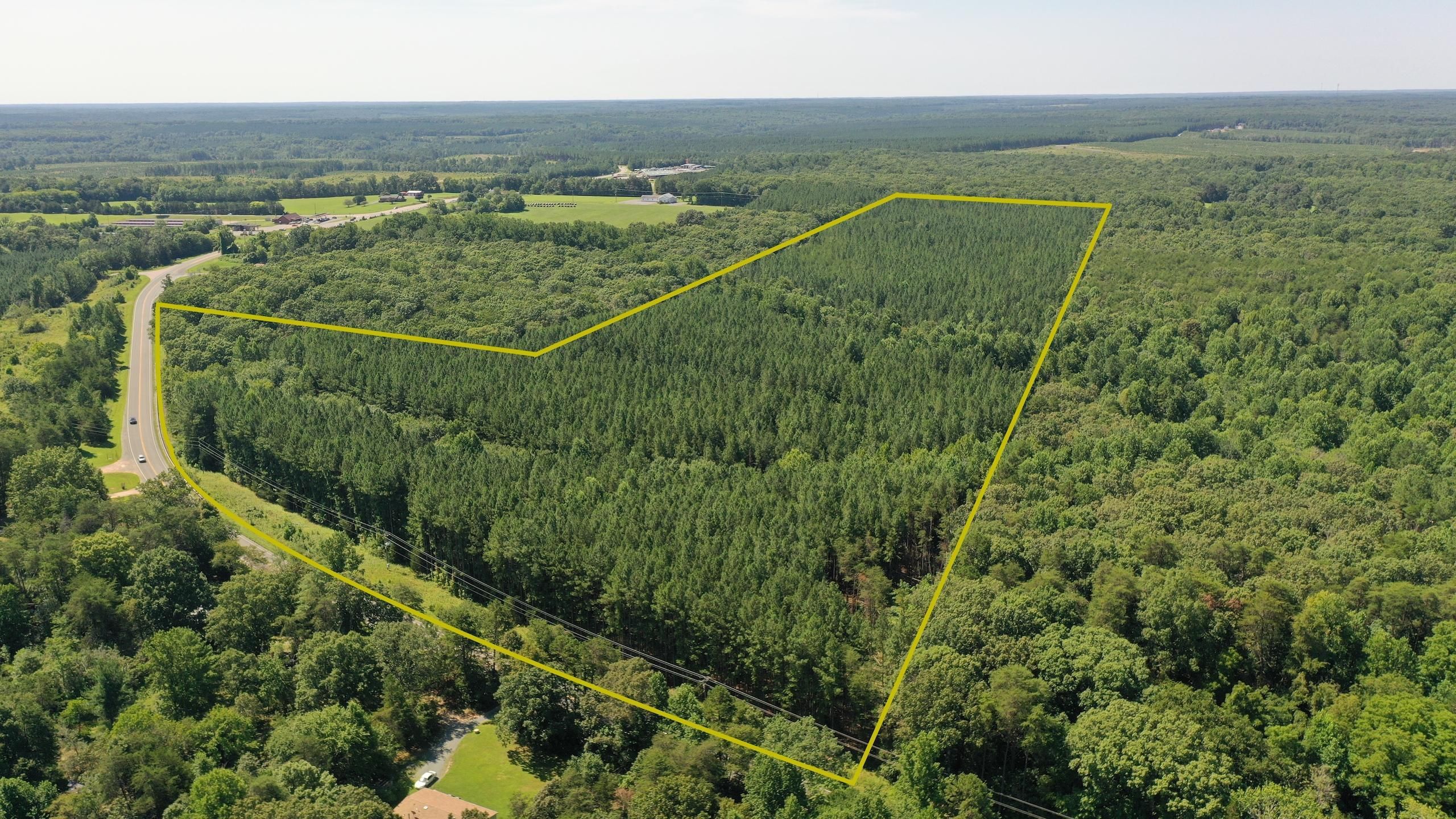 44.9 acres in Louisa County, Virginia