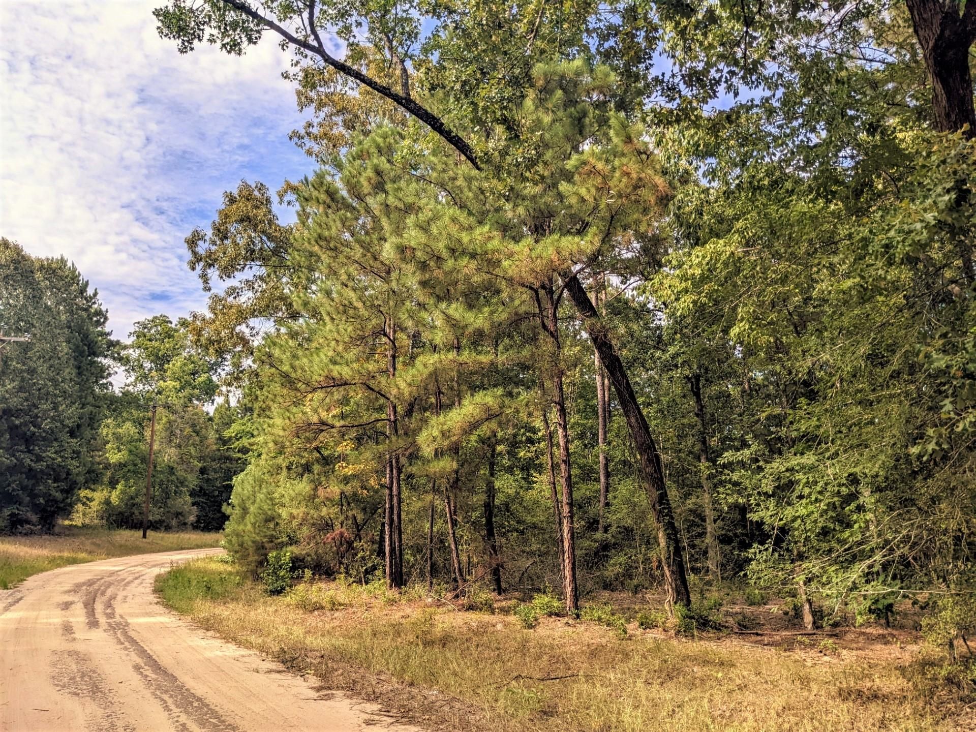 0.09 acres in Trinity County, Texas