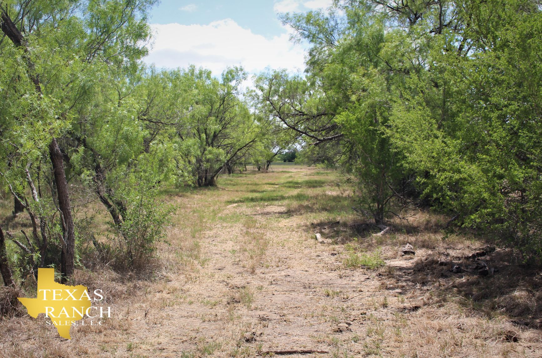 32 acres in Medina County, Texas