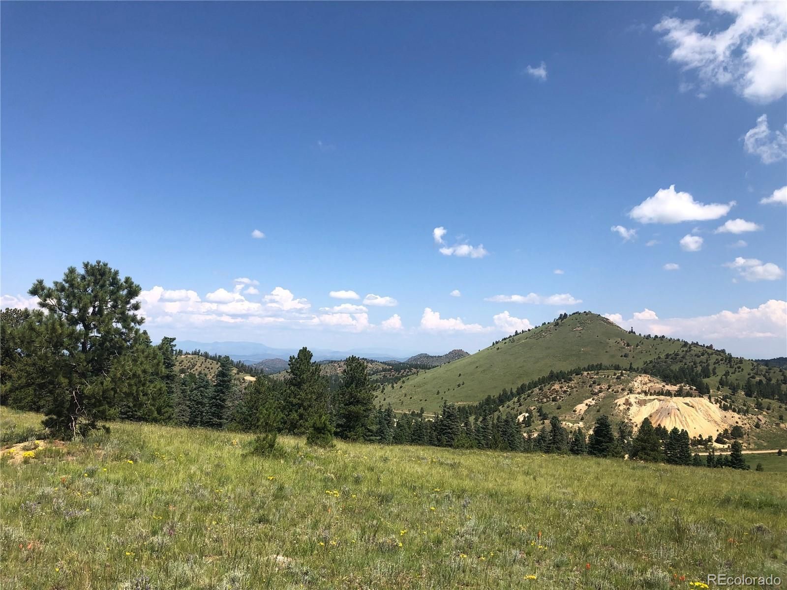34 acres in Custer County, Colorado