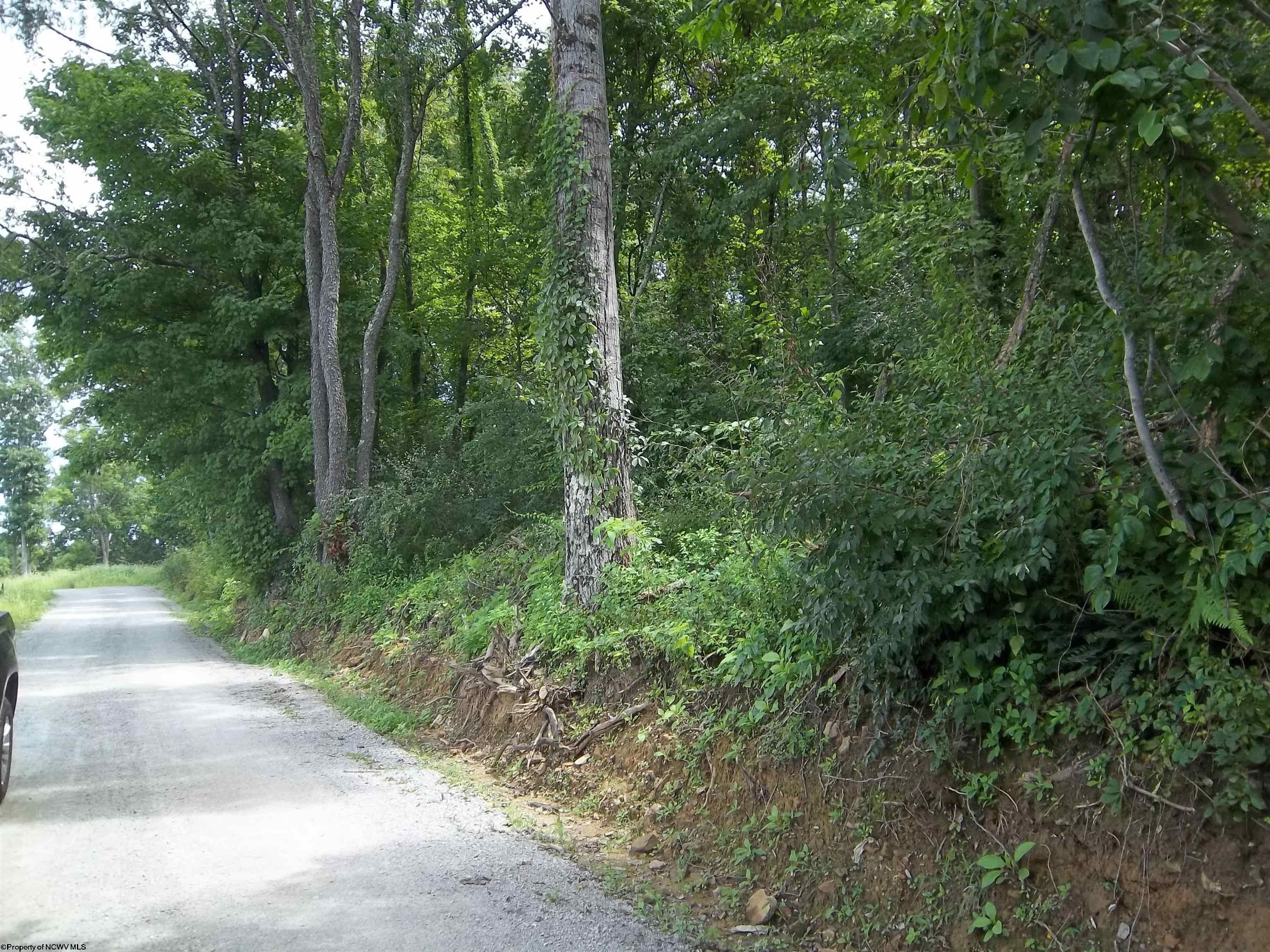 7.24 acres in Monongalia County, West Virginia