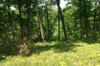 Properties Of Jerry Keith With Mid America Realty Auction In Monticello Ky