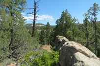 Properties Of Virginia Valcourt With Trophy Real Estate In Duck Creek Village Ut