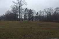 Properties Of Patricia Haravey With Skipper Insurance Realty In Jackson Al