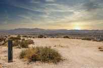 lynda adams with power real estate