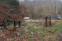 Properties Of Michele Karl With Priority Real Estate In Seymour Tn