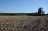 Properties Of Terry Silbernagel With Agri Business Real Estate Services In Salem Or