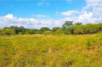 Properties Of Joe Iley With Mission Real Estate Group In San Antonio Tx