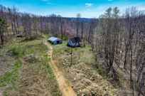 Properties Of Tammy Price With Tri Star Real Estate Auction Co In Sparta Tn