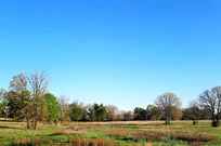 Properties Of Jana Dodd With Cobblestone Real Estate In Sulphur Springs Tx