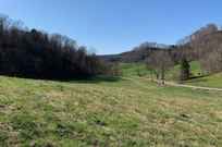 Properties Of Barry Witcher With Gene Carman Real Estate Auctions In Lafayette Tn