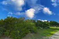 Properties Of Joe Iley With Mission Real Estate Group In San Antonio Tx