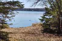 Land For Sale Lakefront Property For Sale In Crow Wing County Minnesota Lands Of America