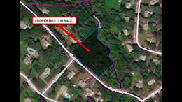 Horse for Sale in Franklin, MASSACHUSETTS