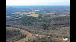 Horse for Sale in Christiana, TENNESSEE