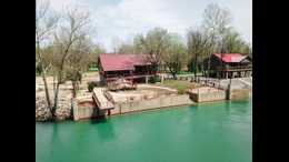Horse for Sale in Doniphan, MISSOURI
