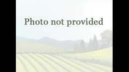 Horse for Sale in Wellsboro, PENNSYLVANIA