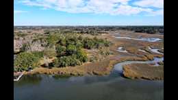 Horse for Sale in Meggett, SOUTH CAROLINA