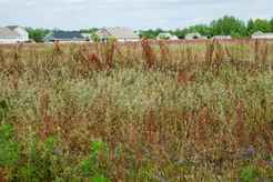 Land For Sale Commercial Property For Sale In Onslow County North Carolina Lands Of America