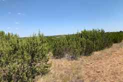 Properties Of Christi Black With Black Real Estate In Hico Tx