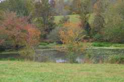 Properties Of Donna Cravens With American Way In Cookeville Tn