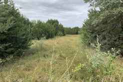 Properties Of Christi Black With Black Real Estate In Hico Tx