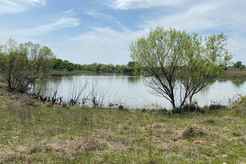 Properties Of Christi Black With Black Real Estate In Hico Tx