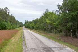 timberland south anne street