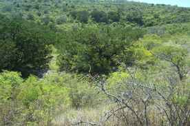 Properties Of Shawn Gray With Frio Canyon Real Estate Llc In Leakey Tx
