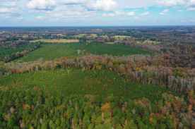 Properties Of Byron Terry Jr With Terry Real Estate Agency In Hughes Springs Tx