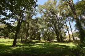 Land For Sale Commercial Property For Sale In Livingston Parish Louisiana Lands Of America