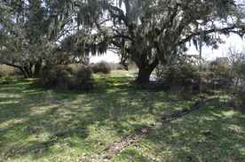 Properties Of Travis Abel With Travis Abel Associates In Sealy Tx