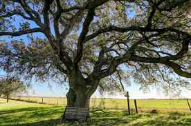 Properties Of Travis Abel With Travis Abel Associates In Sealy Tx