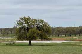 Properties Of Teresa Stephens Lee With Stephens Ranch Hand Real Estate In Coleman Tx
