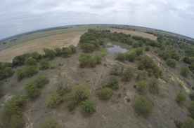 Properties Of Carolyn Merworth With Five Oaks Real Estate In Comanche Tx