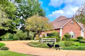 Properties Of Dennis West With Backwoods Land Company Llc In Ridgeland Ms