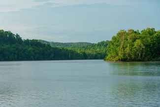 Land For Sale Lakefront Property For Sale In Tennessee Lands Of America