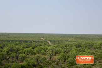 Land For Sale Ranches For Sale In Eagle Pass Texas Lands Of Texas