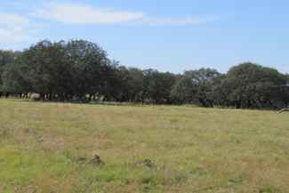 Houston County Land For Sale : Land for Sale in Pennington, Houston County,  Texas : #167598 : LANDFLIP