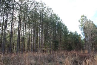 5 ACRE LAND PRICE