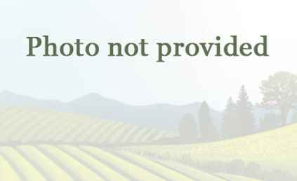 6 Acres In Onslow County North Carolina