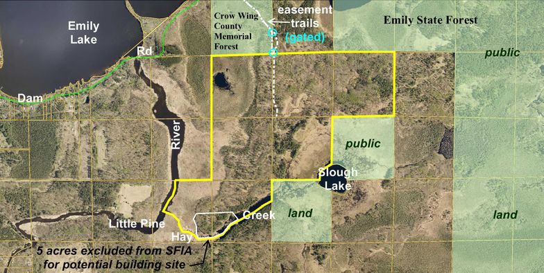256 Acres In Crow Wing County Minnesota