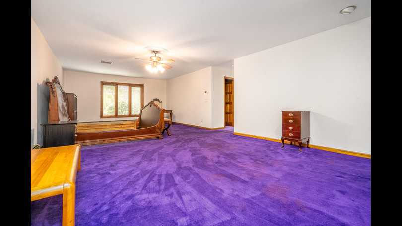 horses for sale - equine.com