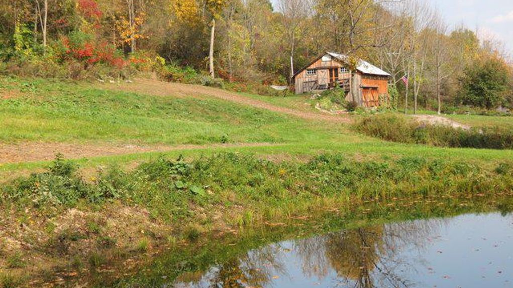 77-6-acres-in-montgomery-county-new-york