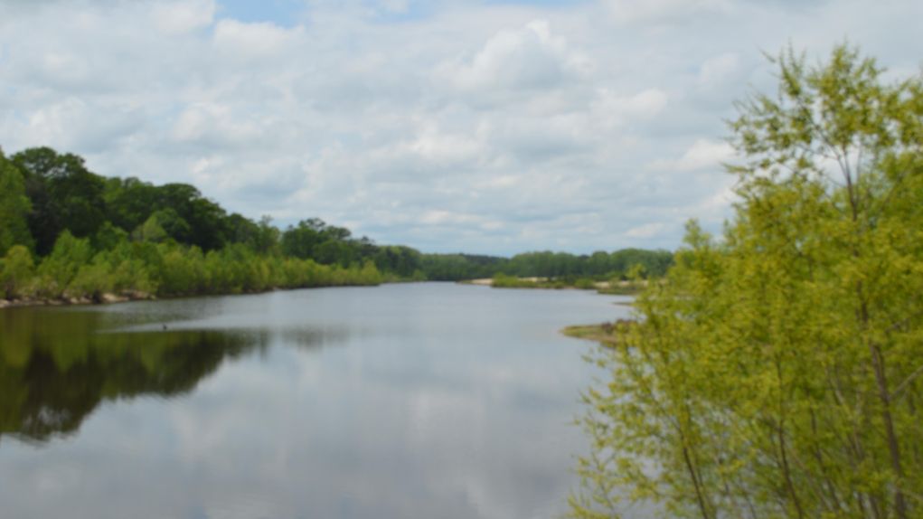 122 Acres on the Bogue Chitto River